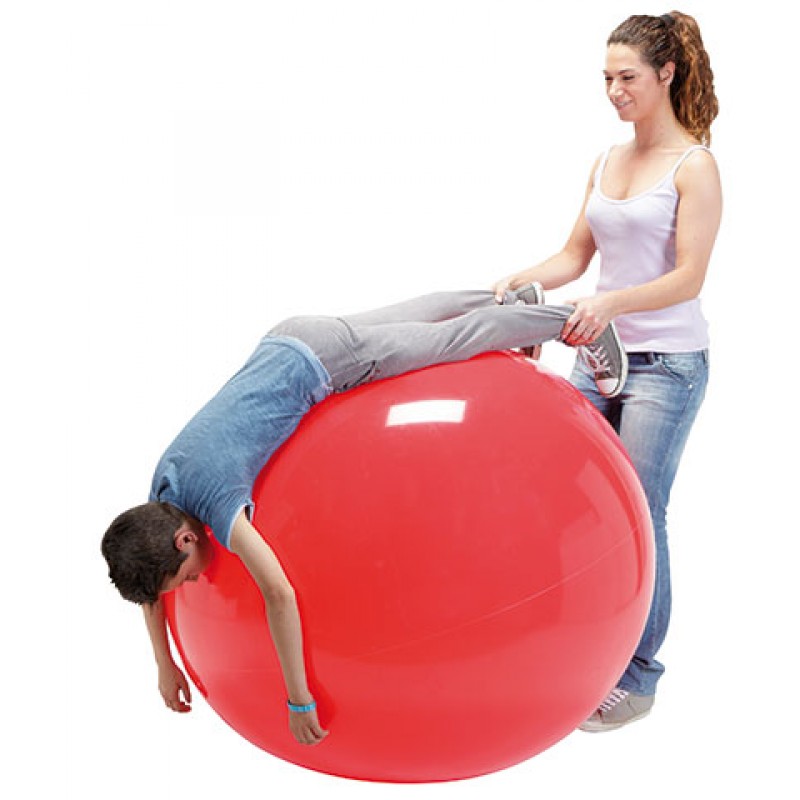 Physio cheap exercise ball